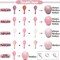 Pink Balloon Garland - Light Pink Balloons Double Stuffed Pastel Pink Balloon Arch Kit Different Sizes Baby Pink Latex Balloons for Birthday Baby Shower Wedding Princess Party Decoration